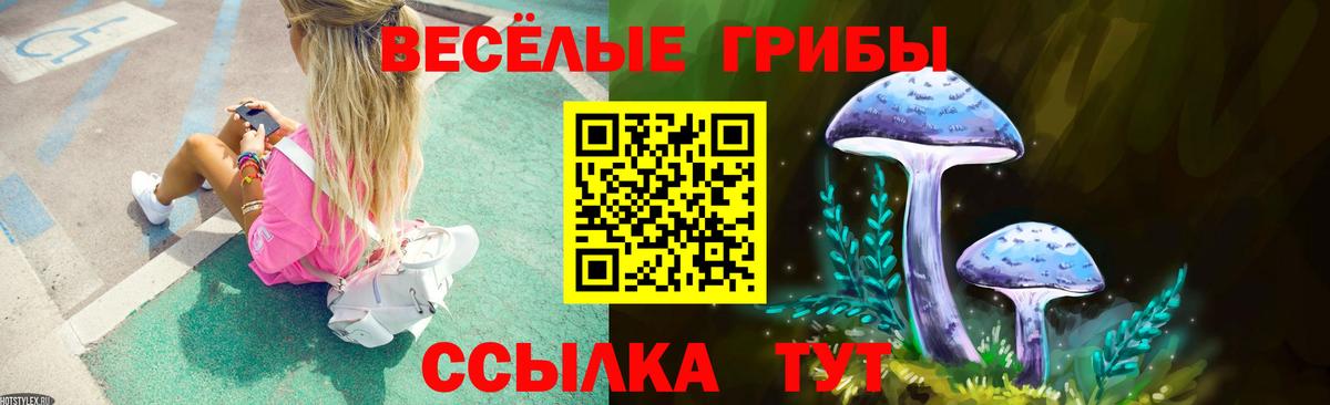 Баксан  Псилоцибиновые грибы мицелий  Вход с VPN 